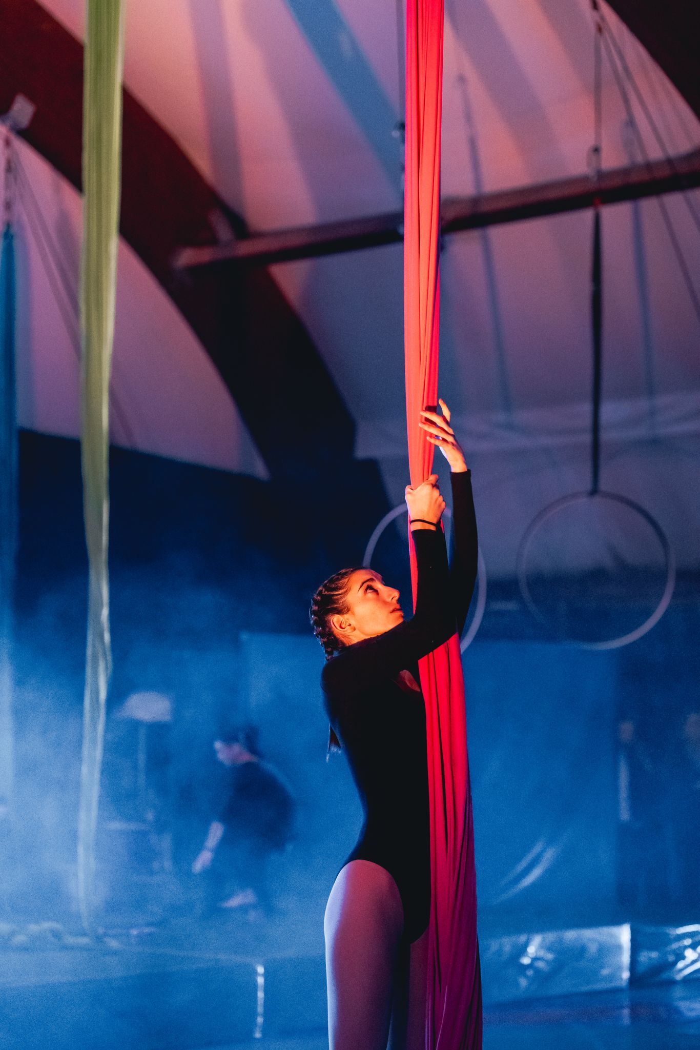 Spettacolo in palestra